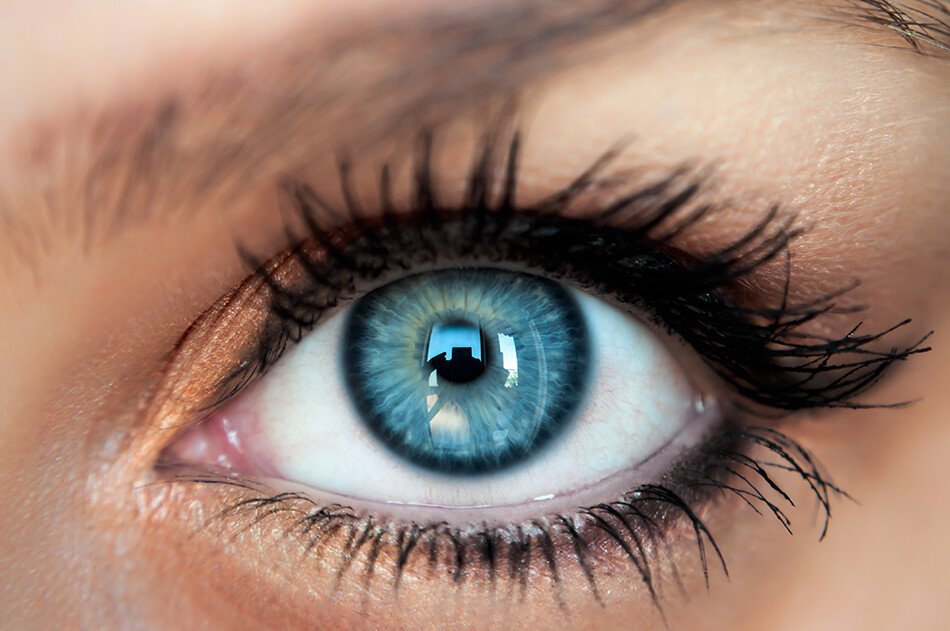 10 Reasons to Try Colored Contact Lenses