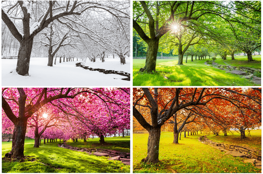 Tips for Contact Lens Wearers: Embrace Comfort in Every Season!